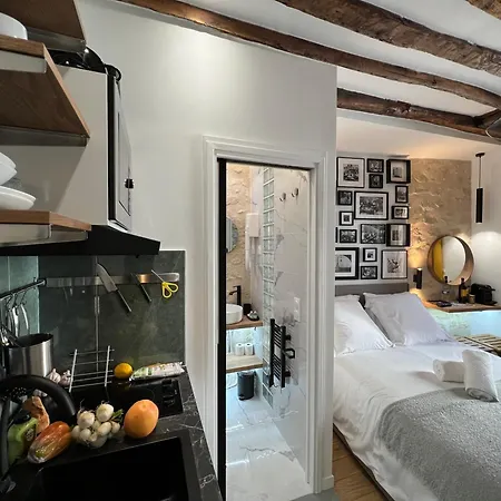 Appartement Pasteur- Xve Paris