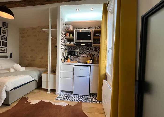 Pasteur- Xve Lejlighed